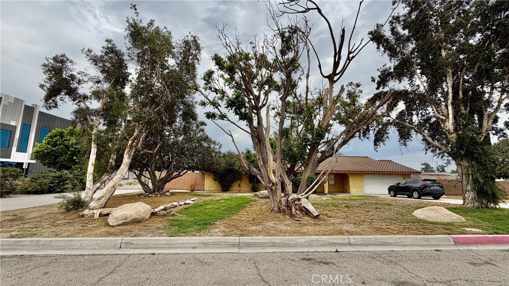 13981 Rose, Fontana