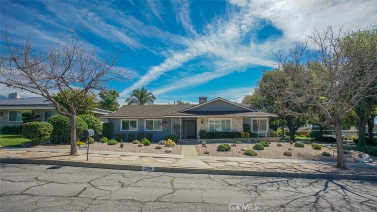 1904 Belmar, Upland
