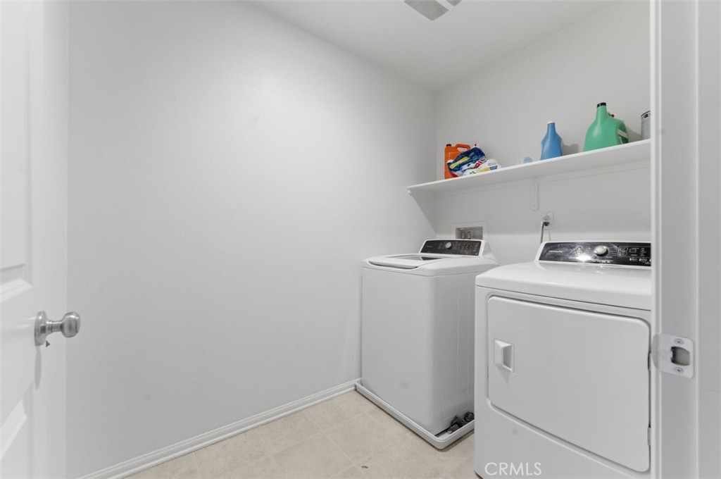 17019 Red tail, Fontana