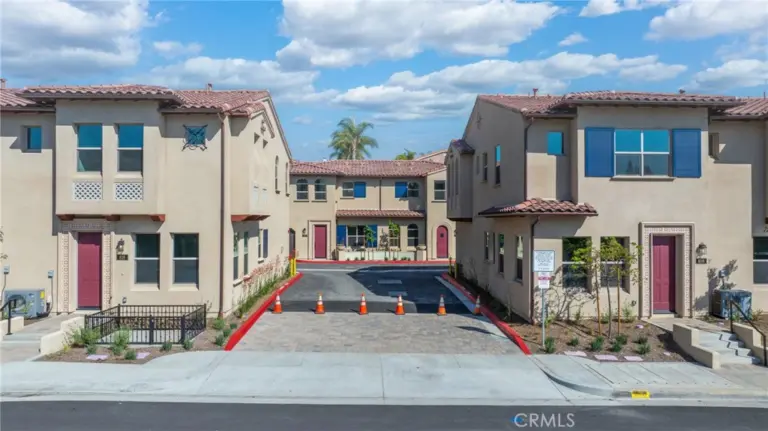 826 Francesca, Walnut