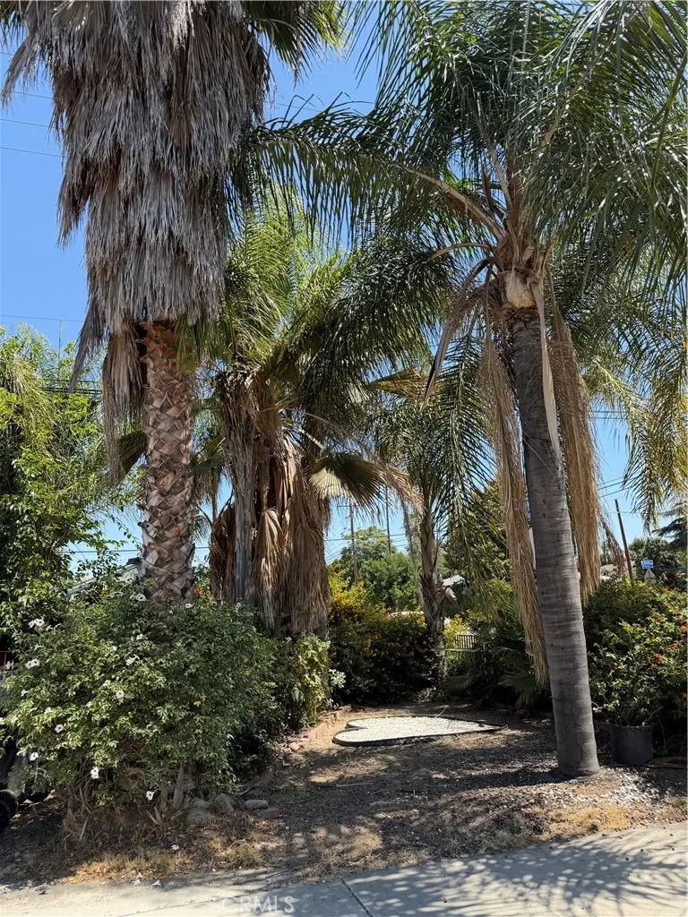12520 Norton, Chino