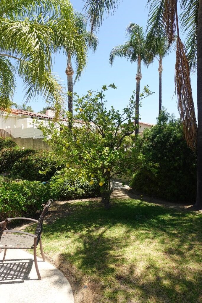 2534 E Vista, Upland