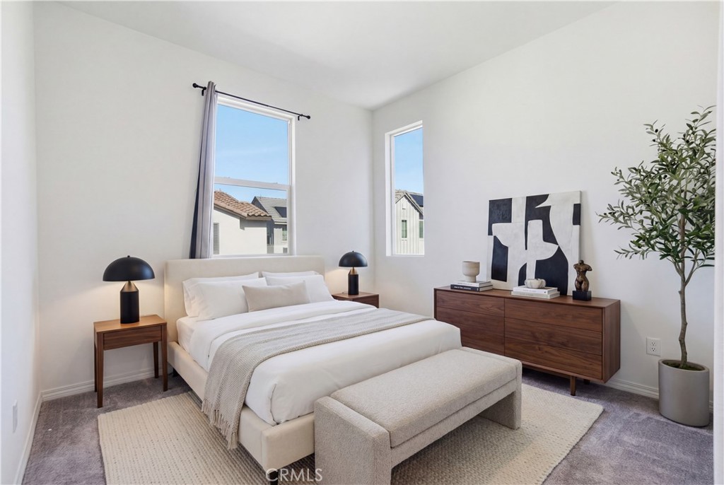 16651 Snowdrop #1, Fontana