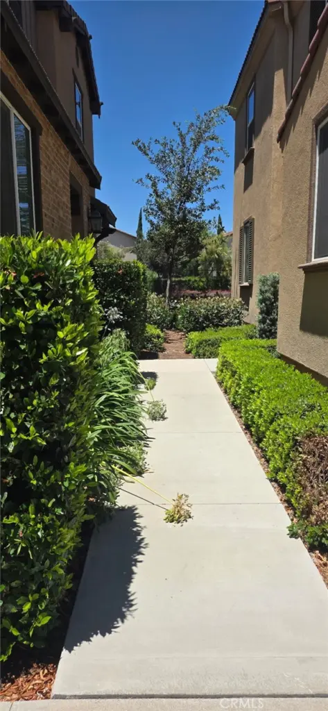 8787 Wanderlin, Chino