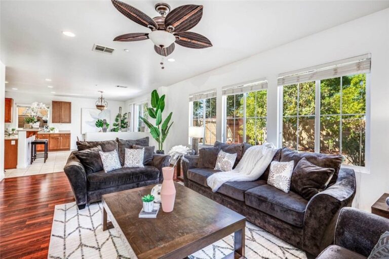 16438 Gala, Fontana