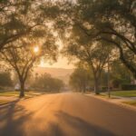 Embracing Pomona Community Traditions for Family Life