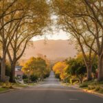 Embracing the Claremont Lifestyle: A Local's Guide