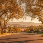 Exploring the Ontario CA Lifestyle: A Local's Perspective