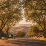 Exploring Upland CA Family Life and Community Traditions