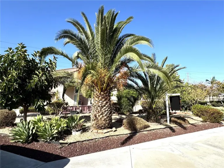 11451 Caraway Court, Fontana