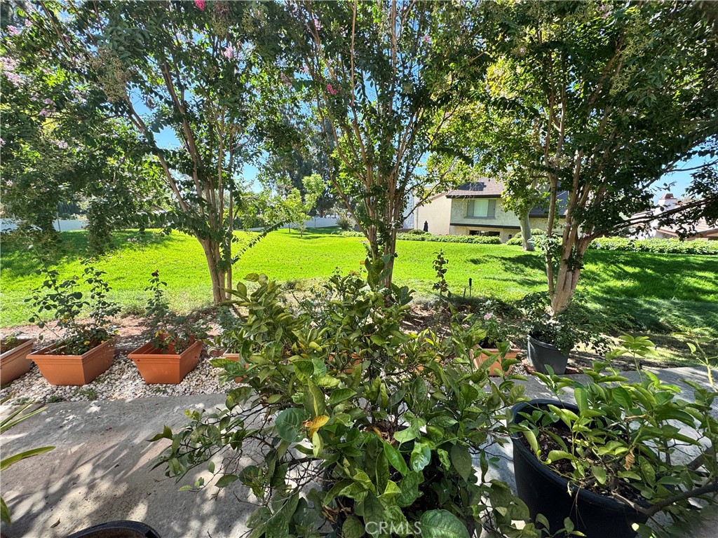 1218 Tamarisk, Upland