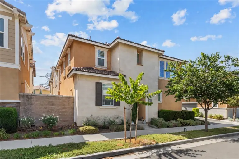 13931 Blossom Way, Eastvale