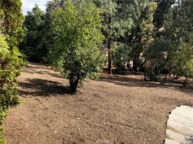 24030 Shotgun Lane, Diamond Bar