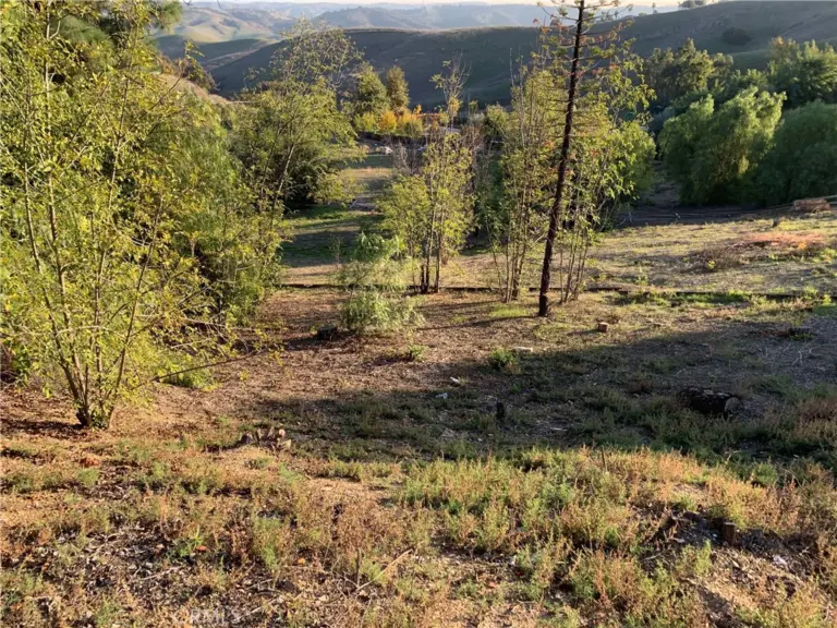 24030 Shotgun Lane, Diamond Bar