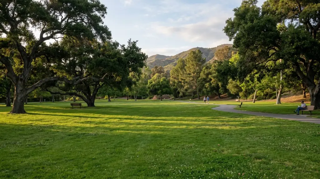 A serene view across the green lawn of Covina Park, with large oak trees casting long shadows as the afternoon light begins to soften.