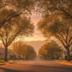 Family Life and Community in Ontario CA: A Local's Guide