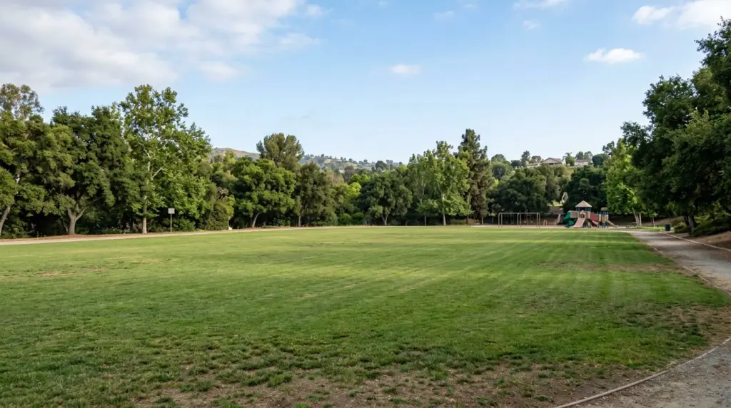 A wide, empty athletic field at a local park, bordered by mature trees, with playground equipment visible in the distance.