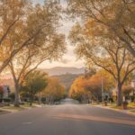 Living in Claremont CA: A Day in the City of Trees and PhDs